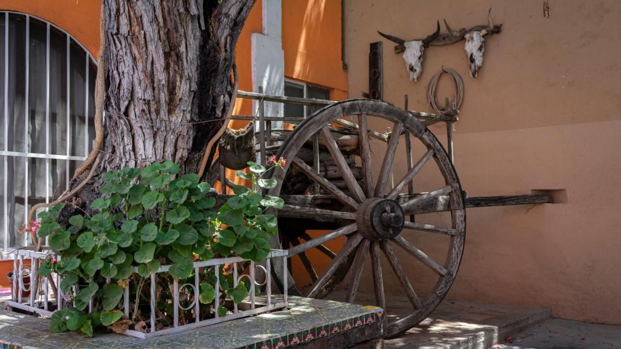 Hotel Posada Bugambilias San Luis Potosi Luaran gambar